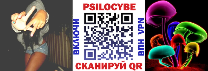 Галлюциногенные грибы MAGIC MUSHROOMS  где купить наркотик  кракен ссылки  Калининец 